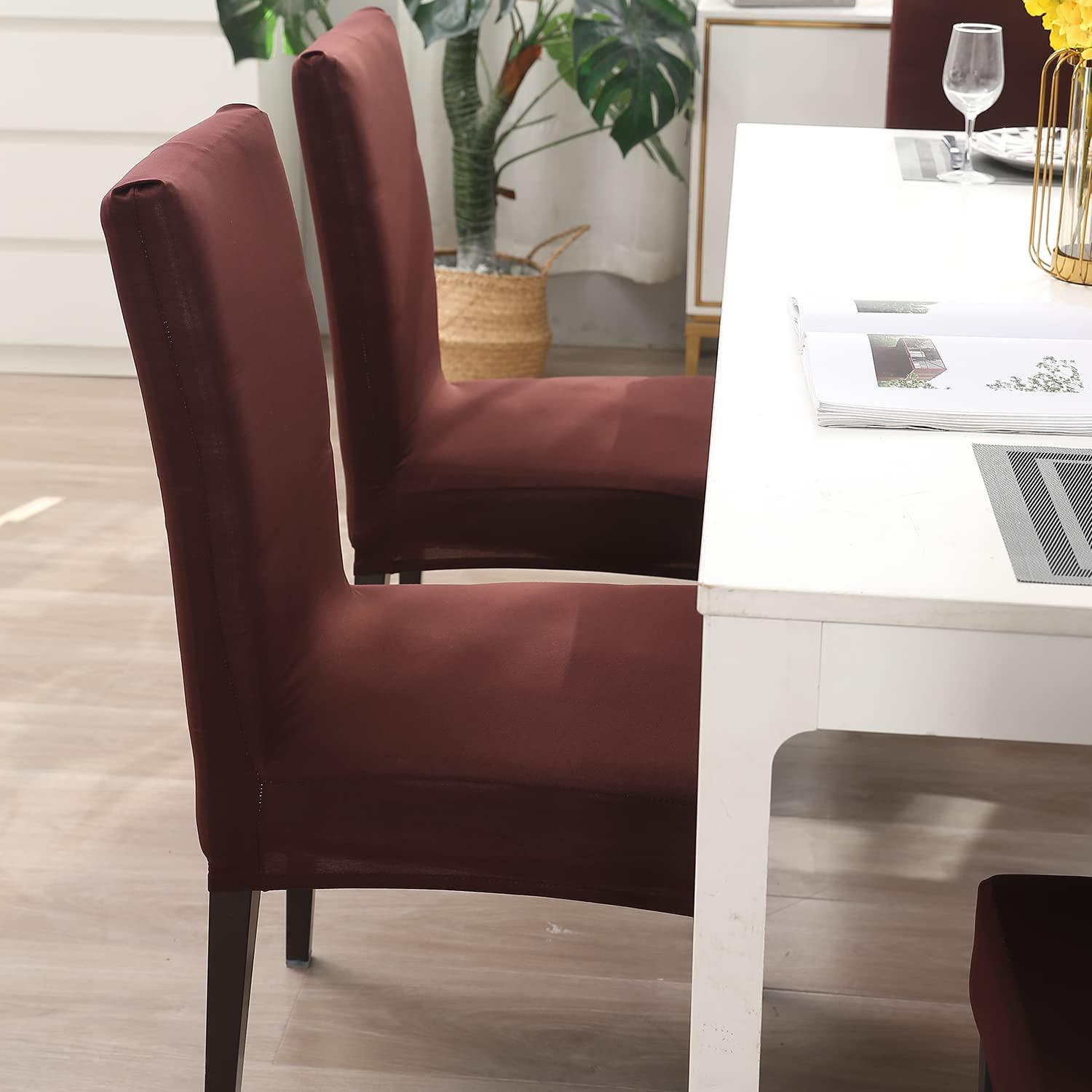 Stretchable Chair Covers, Plain Brown - Trendize