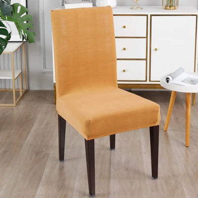 Stretchable Chair Covers, Plain Beige - Trendize