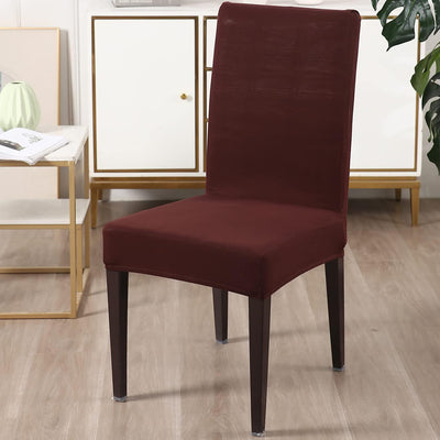 Stretchable Chair Covers, Plain Brown - Trendize