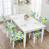Stretchable Chair Covers, Subtle White - Trendize