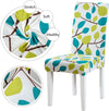 Stretchable Chair Covers, Subtle White - Trendize
